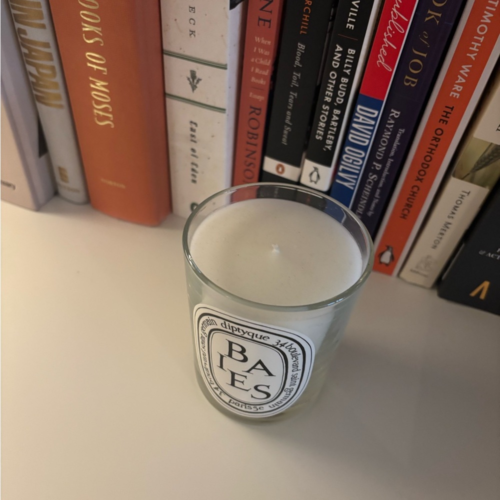 Diptyque Baies brand new 6.7 oz - Picture 2 of 4